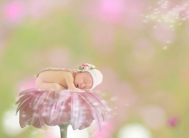 Bábätko spí na ružovom kvete.jpg